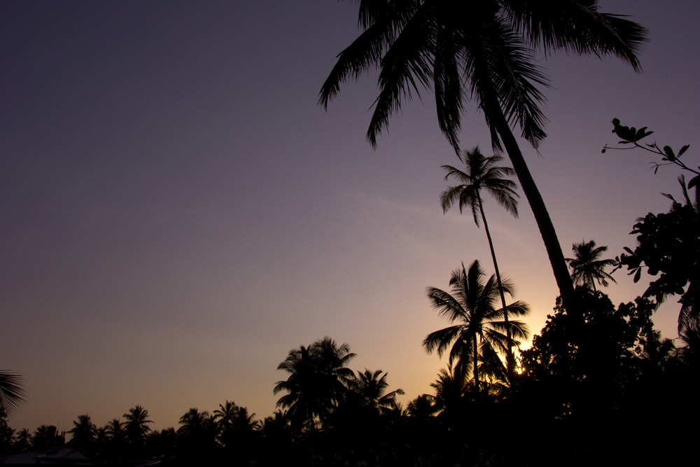 Sunset silhouettes | Unawatuna, Sri Lanka