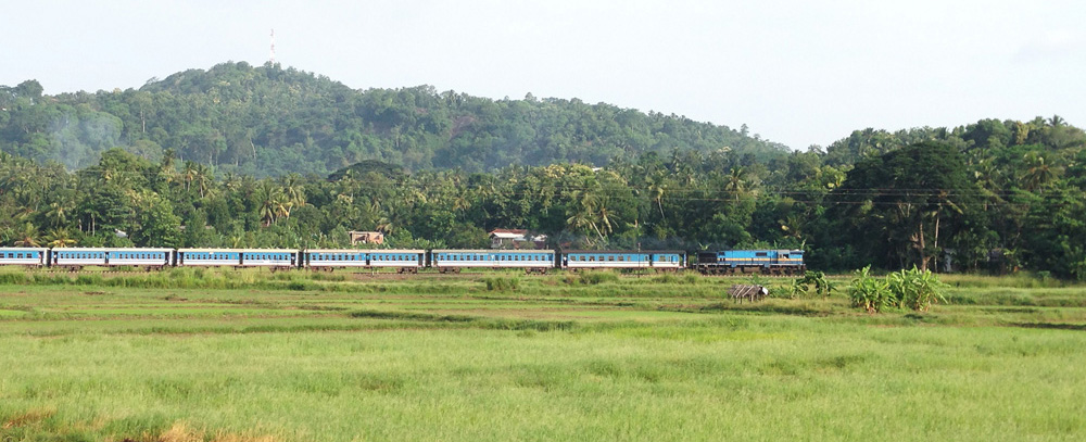 Train crossing | Sri Lanka