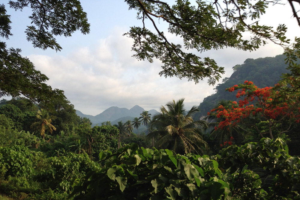 Train from Kandy to Colombo - mountain view | Sri Lanka