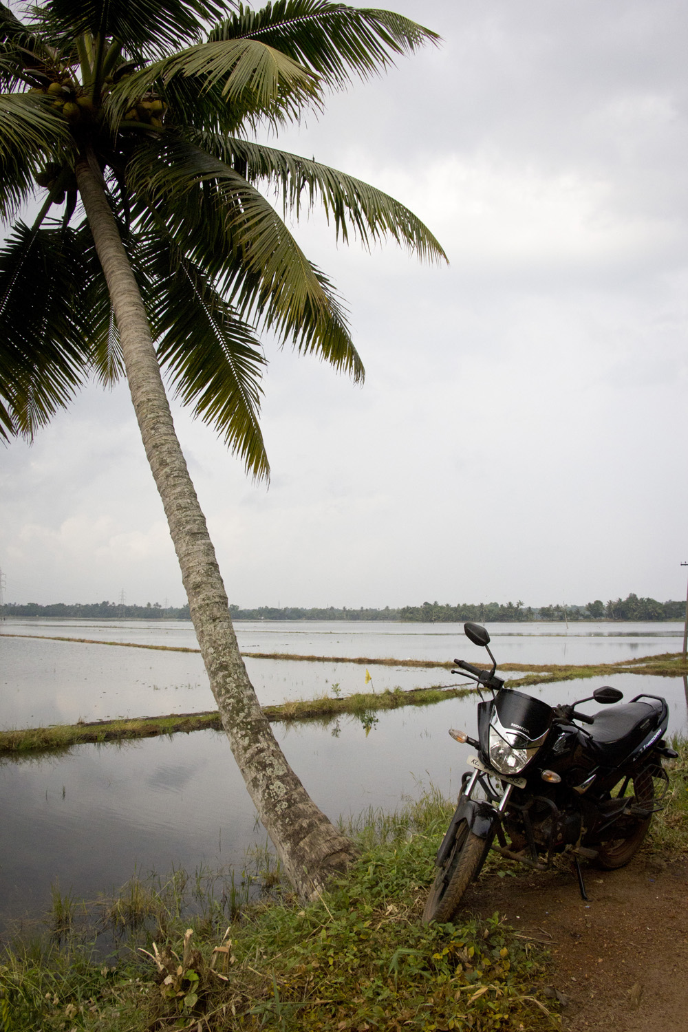 Motorbike | Kerala backwaters, India