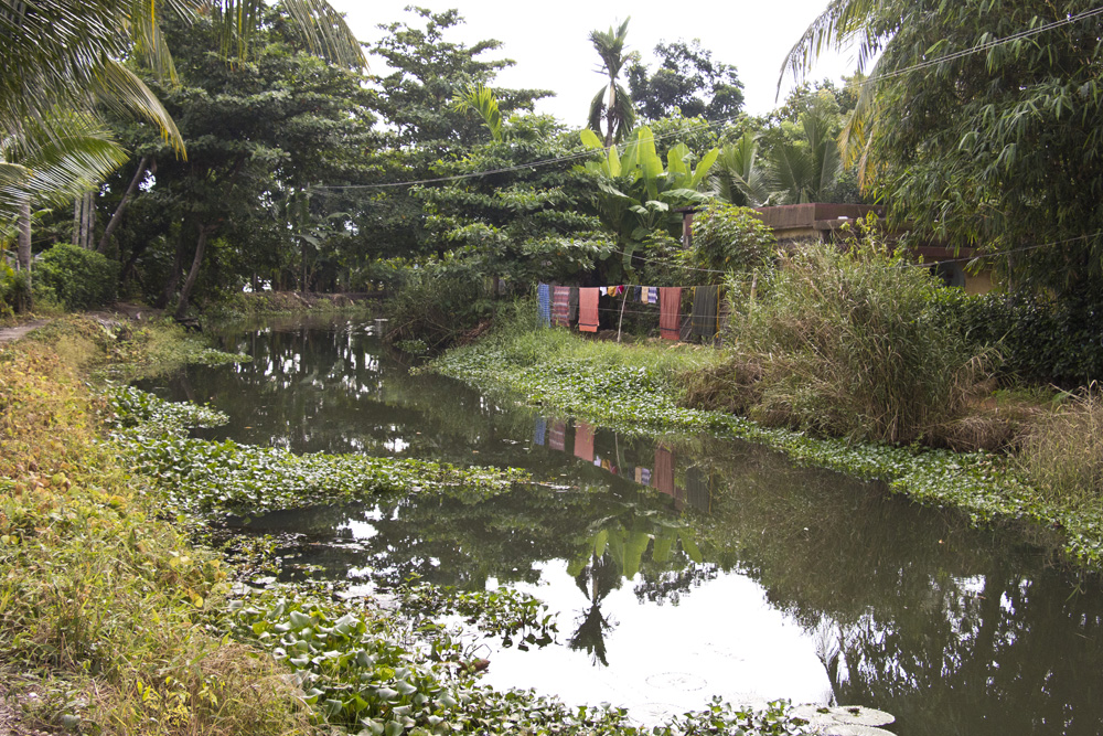 Drying laundry | Kerala backwaters, India