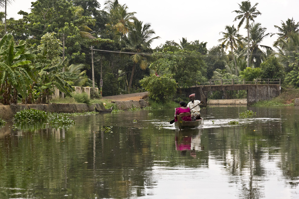 Magenta sari in a canoe | Kerala backwaters, India