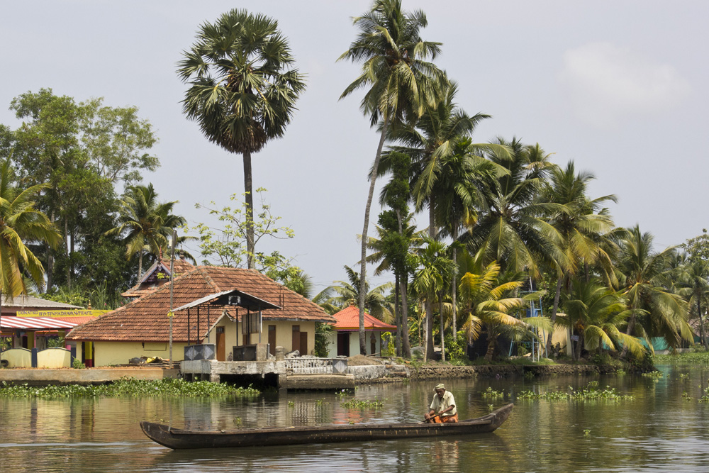 Man in a canoe | Kerala backwaters, India
