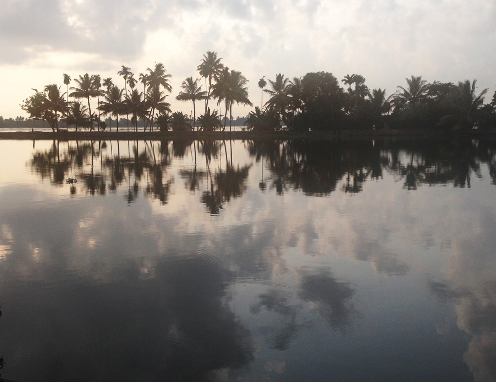 Morning reflections | Kerala backwaters, India