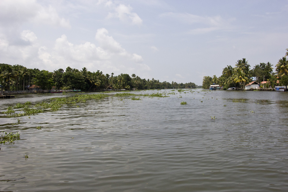 Wide canals | Kerala backwaters, India