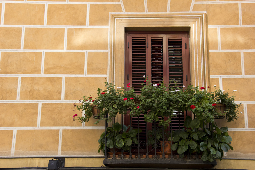 Geraniums on the balcony | Madrid, Spain