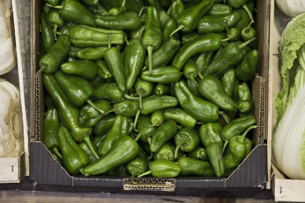 Pimientos at Mercado de la Cebada | Madrid, Spain