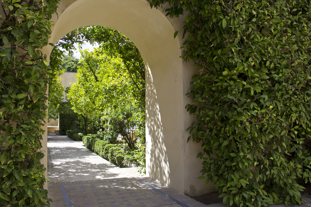 Green archways | Alcazar, Seville, Spain