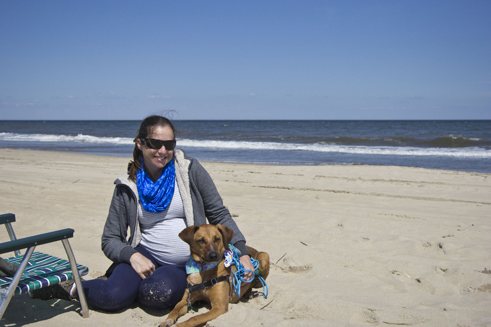 Bodie posing on Cape Henlopen beach | Delaware