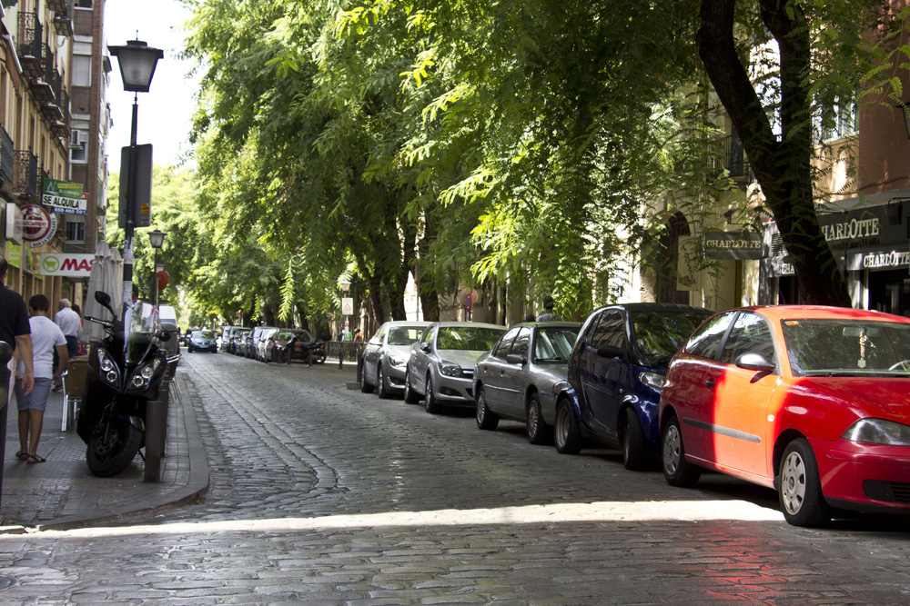 Tree lined street in Triana | Seville, Spain