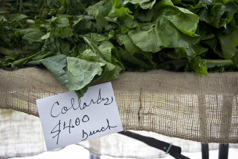 Farmers market collards in Forsyth Park | Savannah, Georgia