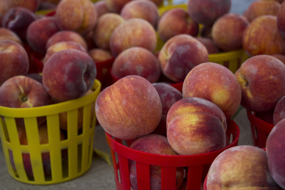 Farmers market peaches in Forsyth Park | Savannah, Georgia