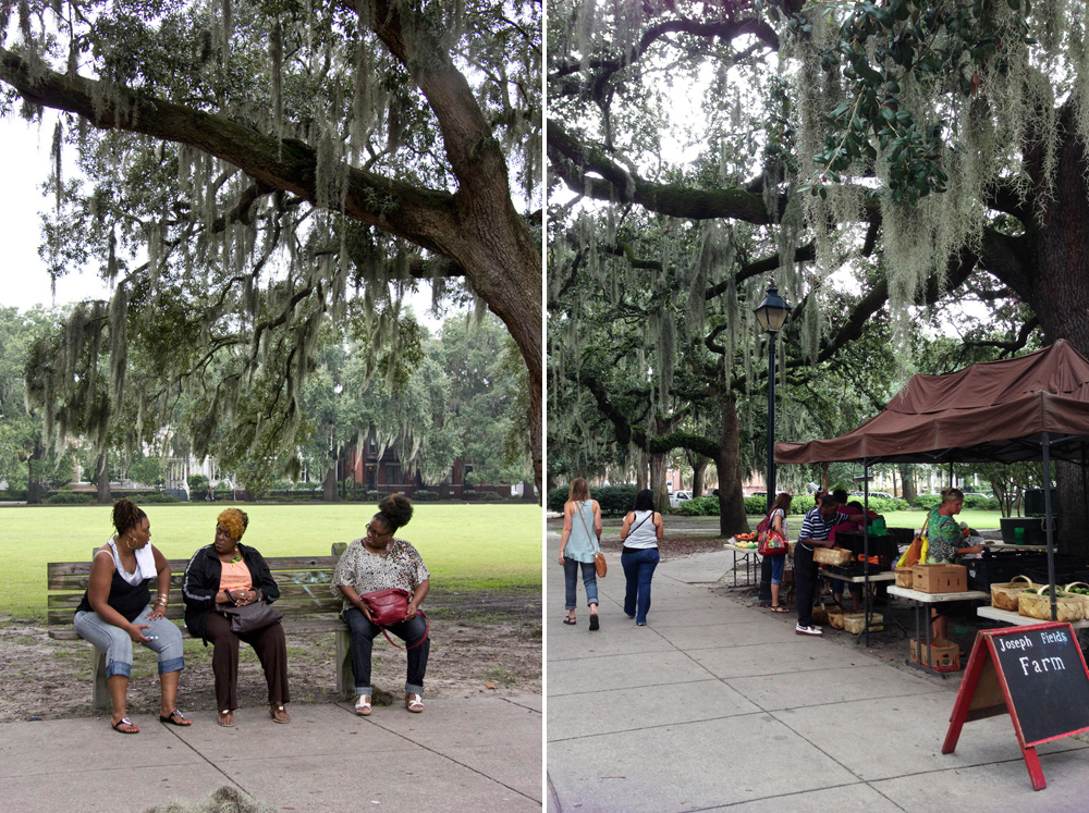 Scenes in Forsyth Park | Savannah, Georgia