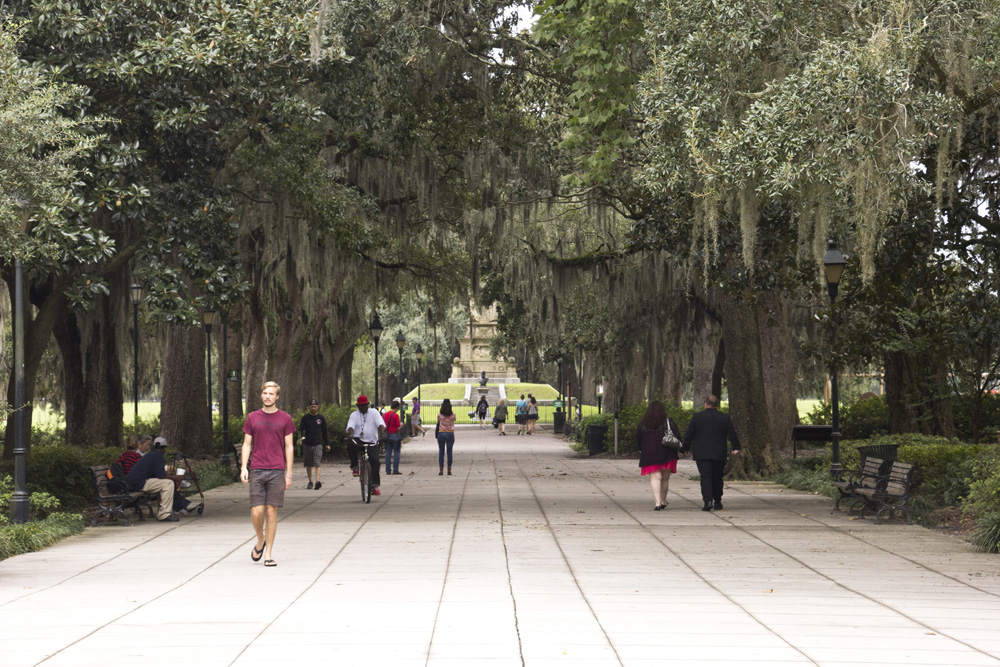 spanish-moss-main-pedestrian-path-forsyth-park-savannah-georgia