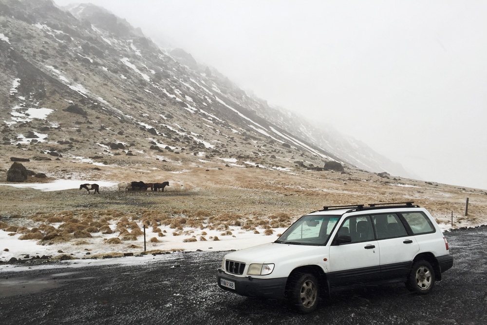 SAD cars Subaru Forester on a road trip through the south | Iceland
