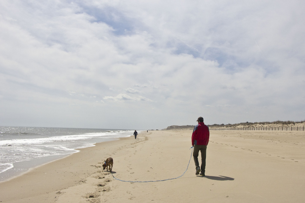 Dog beach walk | Cape Henlopen, Delaware