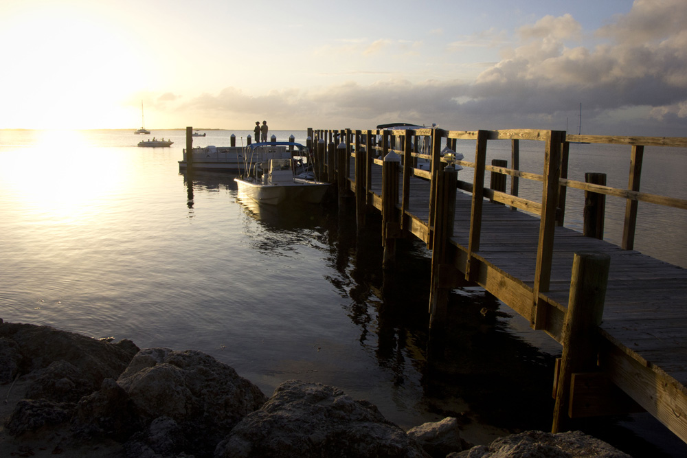 Sunlight on the dock in the bay | Key Largo, Florida