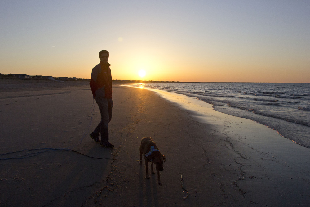 Sunset dog walk on Lewes beach | Lewes, Delaware