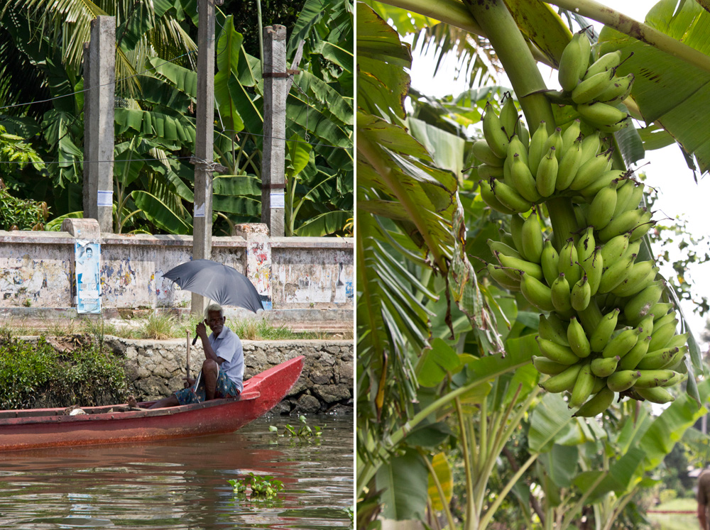 Backwaters and bananas | Kerala, India