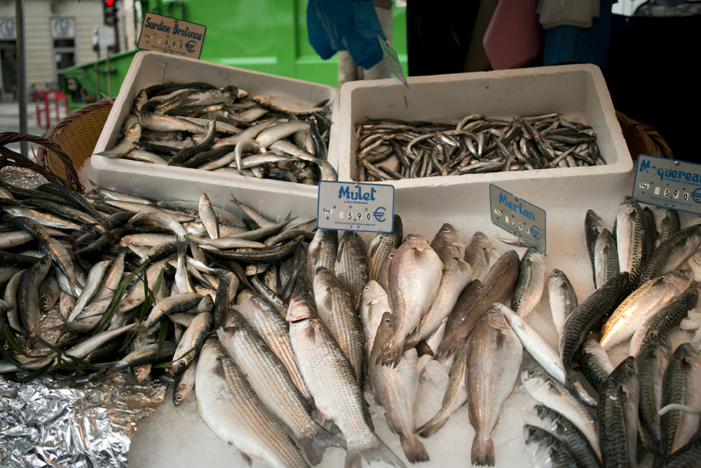 Fish on ice | Bastille market, Paris, France