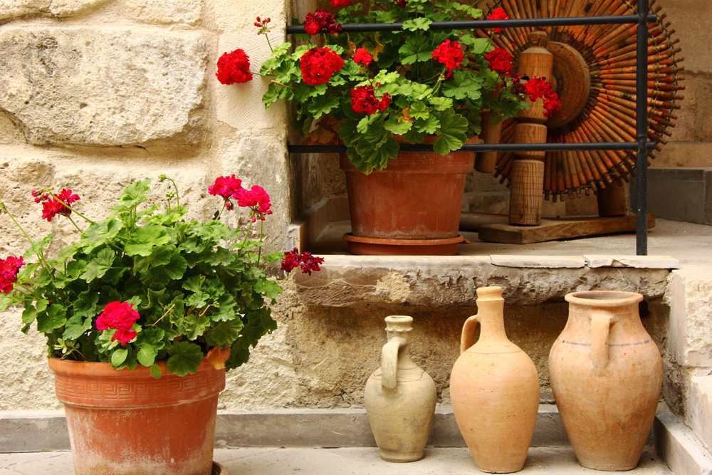 Geraniums at Vezir Cave Suites | Goreme, Turkey