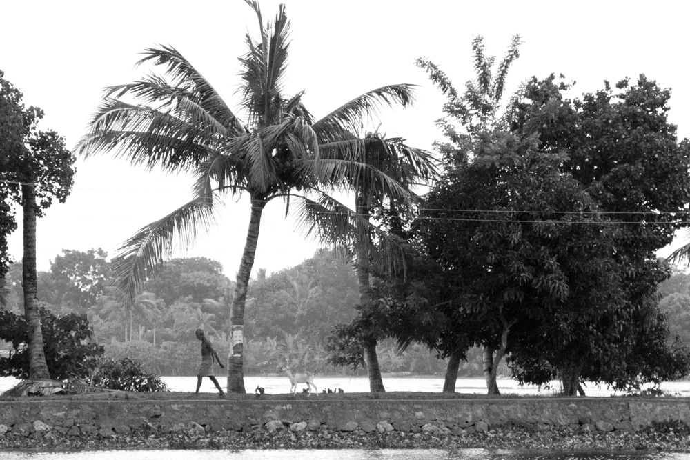 Walk along the water | Backwaters of Kerala, India