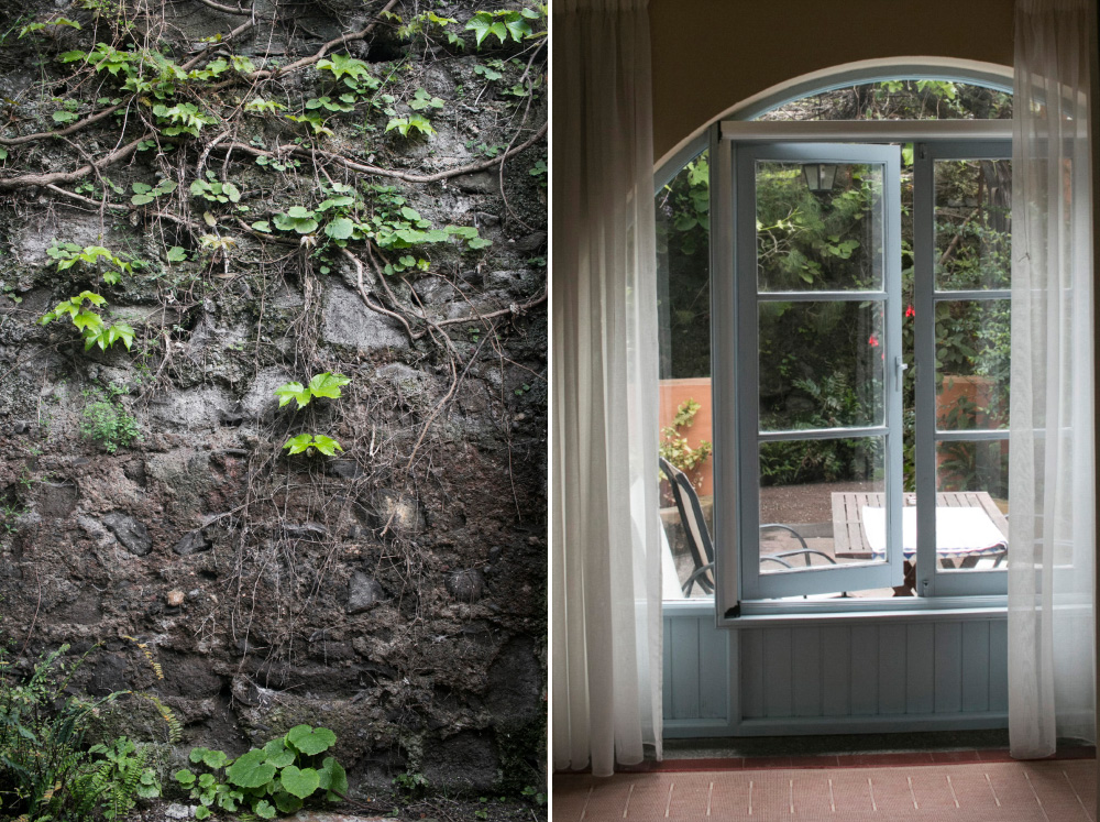 Cottage ivy and windows | Gran Canaria, Spain