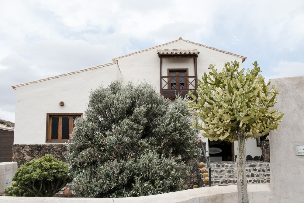 Verde Aurora olive oil farm - tasting room front | Fuerteventura, Canary Islands, Spain