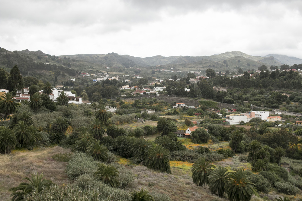 Palms and mountains |Gran Canaria, Spain