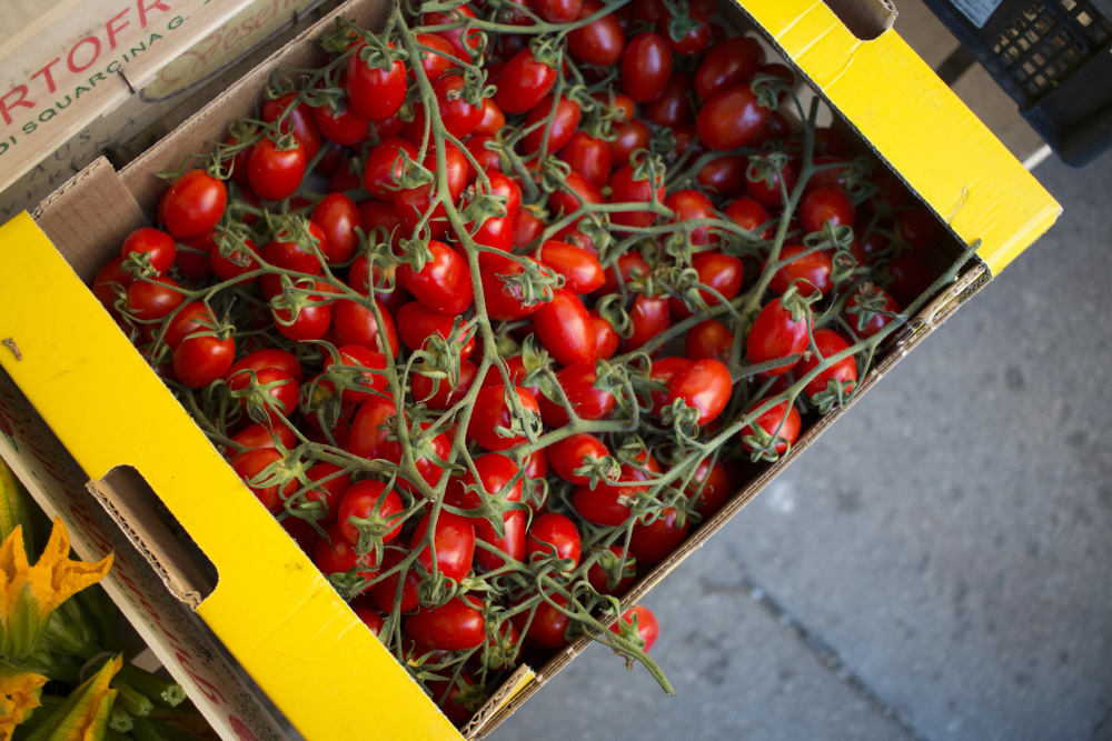 Cherry tomatoes on the vine | Venice, Italy