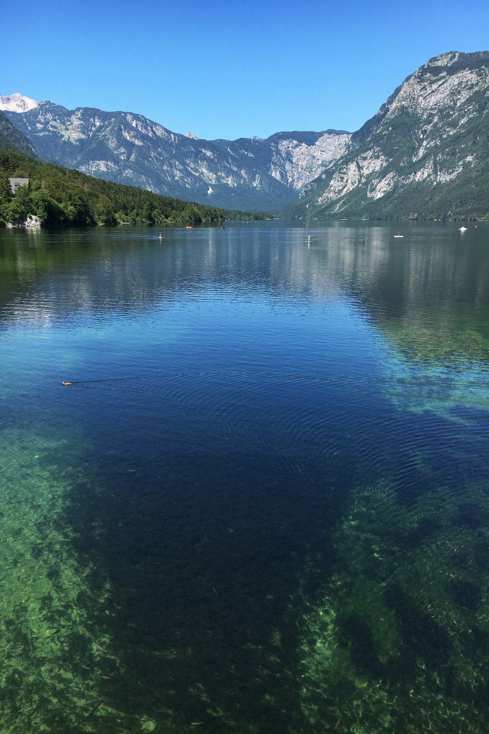 Blues and greens | Lake Bohinj, Slovenia