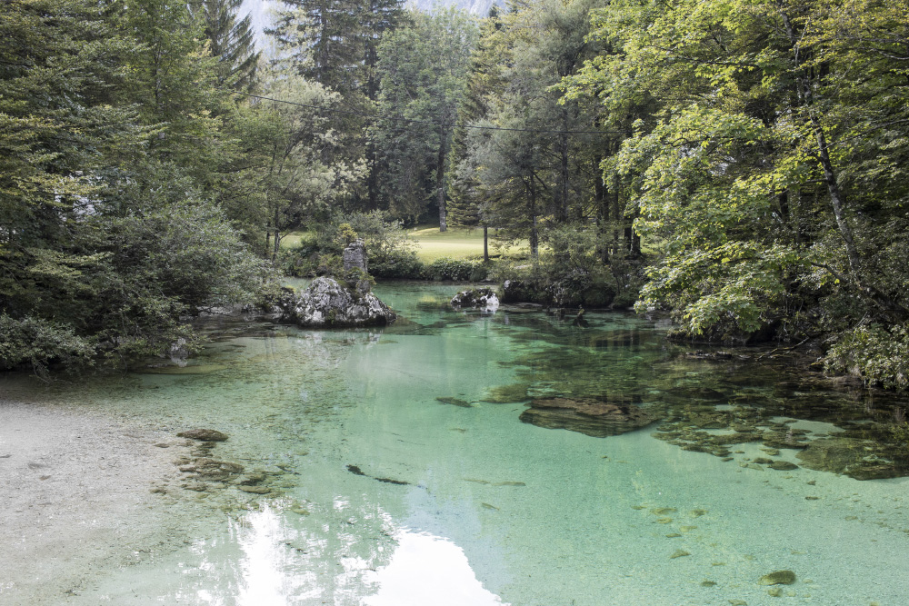 Green water | Bohinj, Slovenia