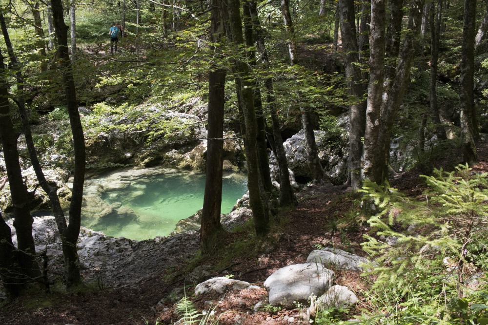 Mostnica Gorge hike green pool | Bohinj, Slovenia