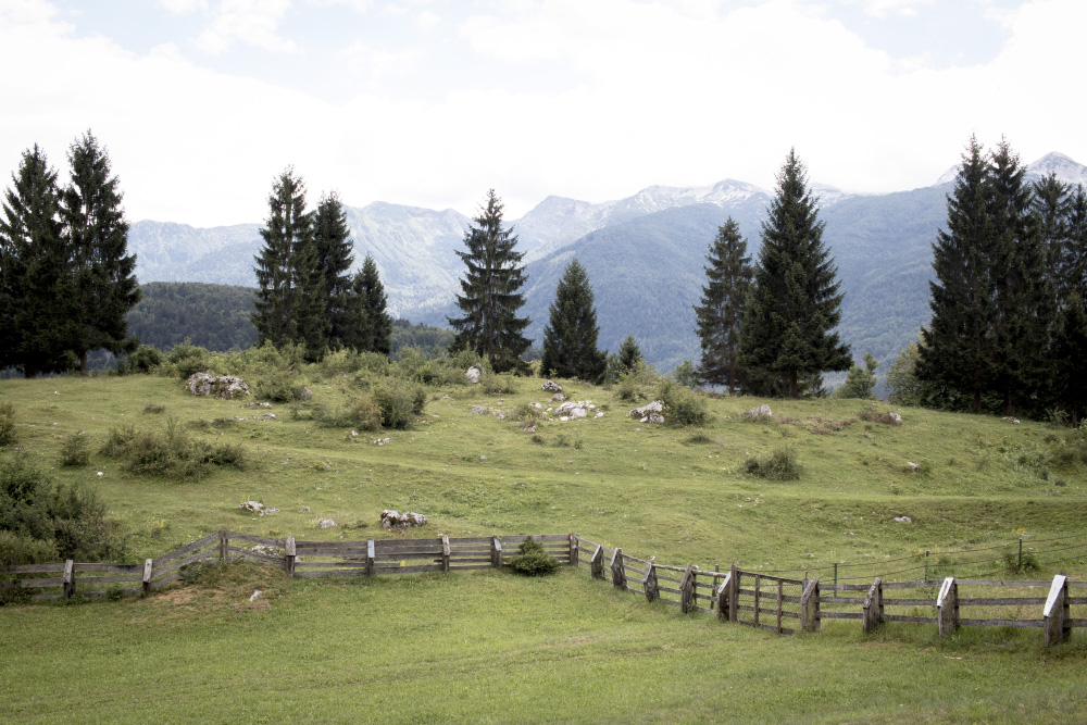 Mountain view at the startof hte Mostnica Gorge hike | Slovenia