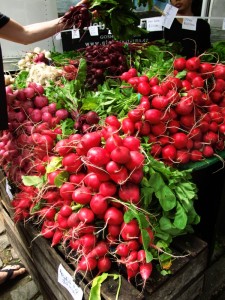 Farmers market radishes