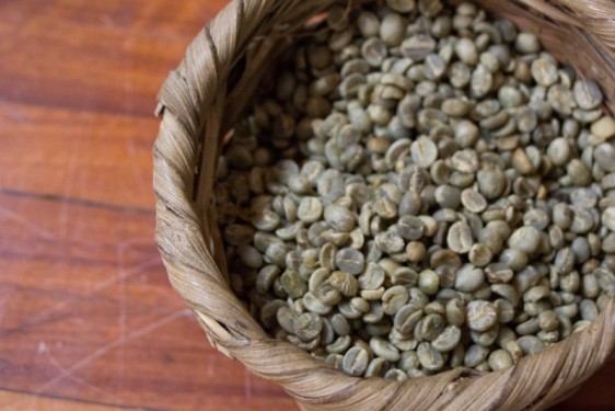 Unroasted coffee beans at Finca Rosa Blanca | Costa Rica