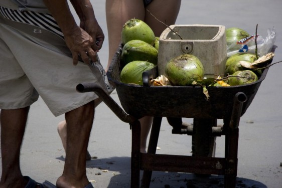 coconuts-manuel-antonio-costa-rica