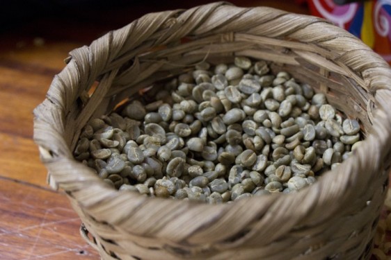 Unroasted coffee beans | Finca Rosa Blanca | Costa Rica