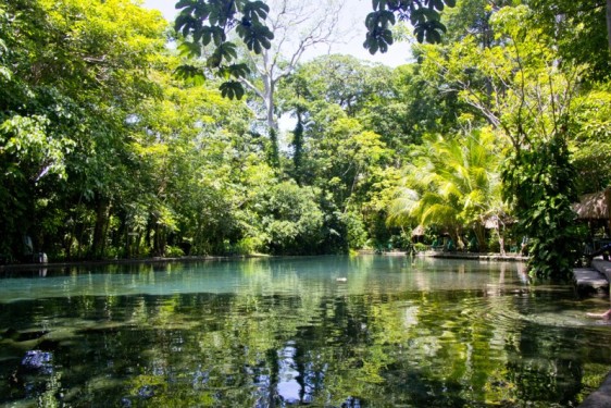 Ojo de Agua pool | Ometepe, Nicaragua