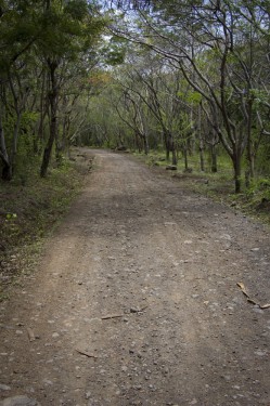 Road to Finca Magdalena | Ometepe, Nicaragua