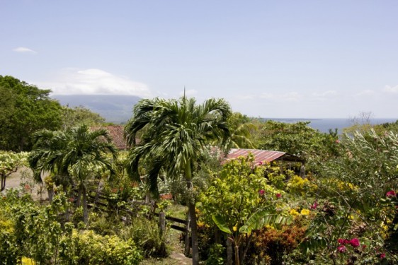 View from the cafe at Finca Magdalena | Ometepe, Nicaragua
