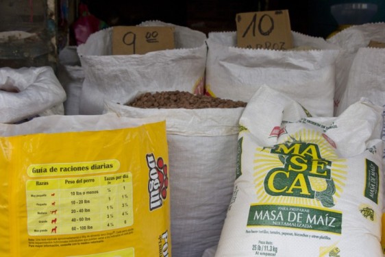 masa-cacao-central-market-granada-nicaragua