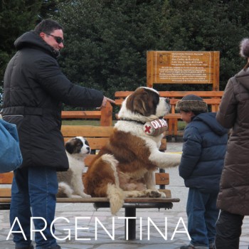 argentina-destination-grid