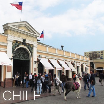 chile-destination-grid