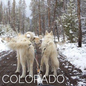 colorado-destination-grid