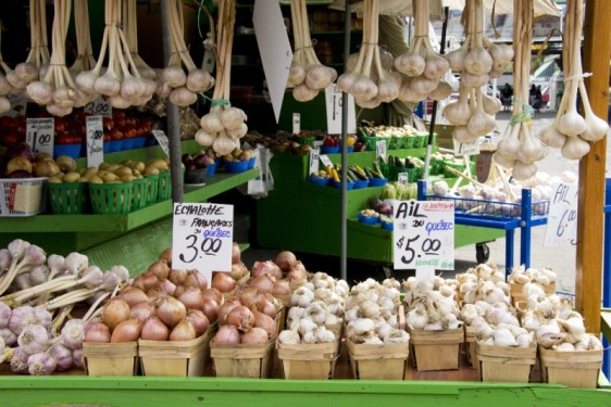 Garlic and onions at the Jean Talon Market | Montreal, Canada