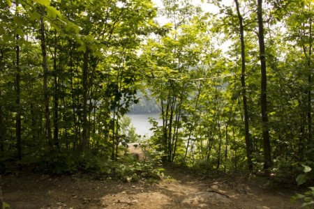 Hiking trails along Lac Morency | Quebec, Canada