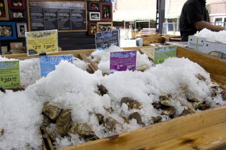 Oysters at the Jean Talon Market | Montreal, Canada