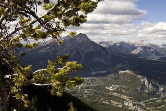 Peek over Banff from the top of the gondola | Alberta, Canada