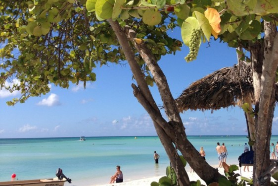 Palm Beach from the Aruba Marriott Resort and Casino